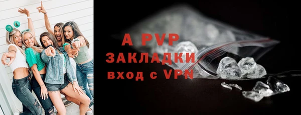 твердый Аркадак