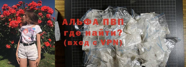 твердый Аркадак
