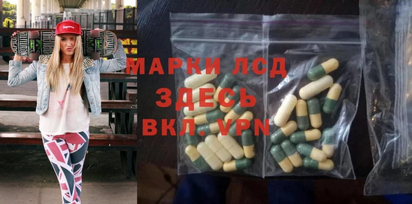 твердый Аркадак