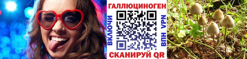как найти закладки  mega ссылки  Псилоцибиновые грибы прущие грибы  Балей 