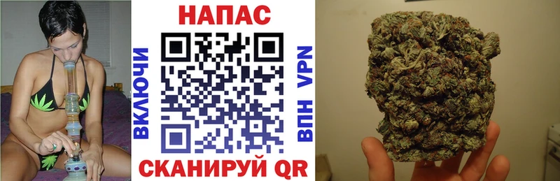 где купить наркоту  Балей  mega ССЫЛКА  Марихуана индика 